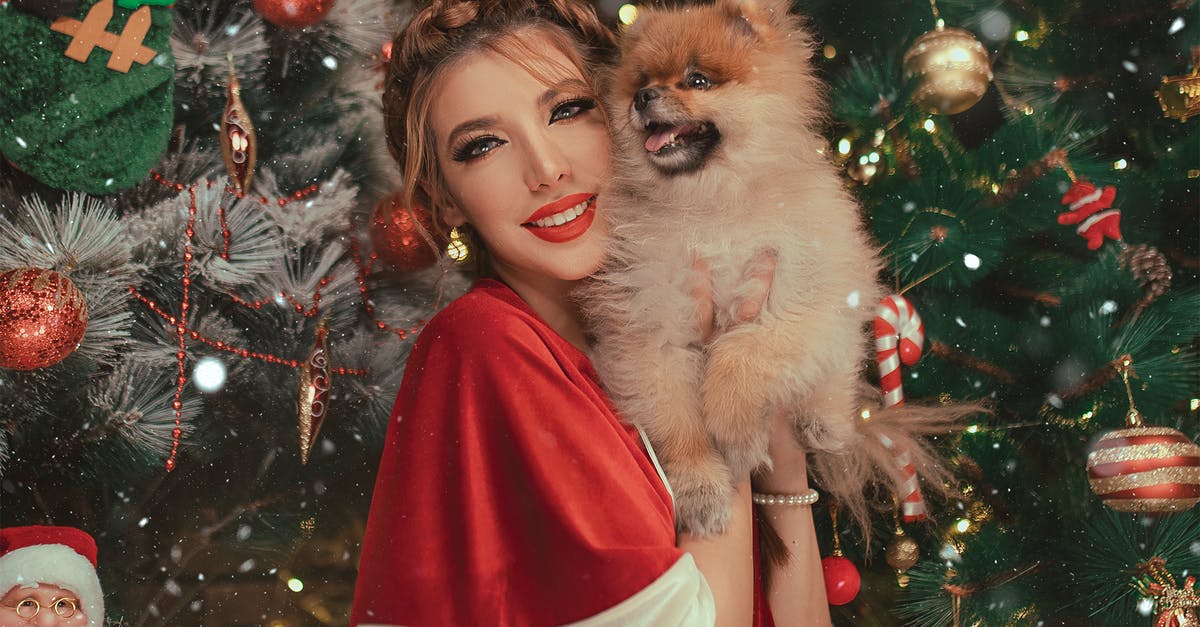 A dog holding a teddy bear with a christmas tree