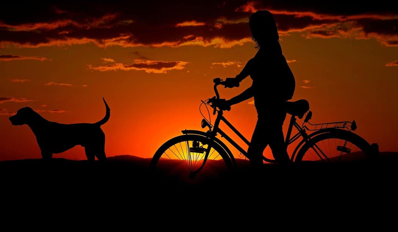A man riding a bicycle in front of a sunset