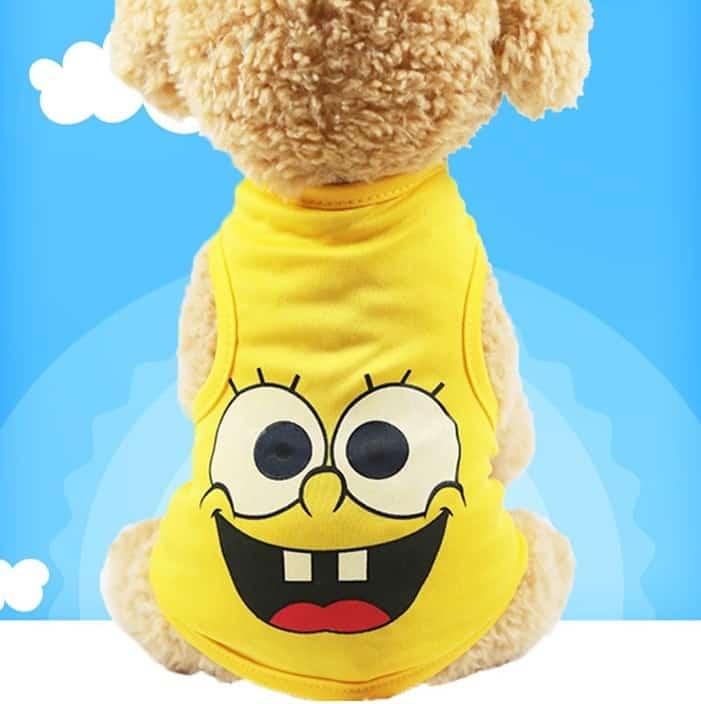 the image features an example of the dog clothing