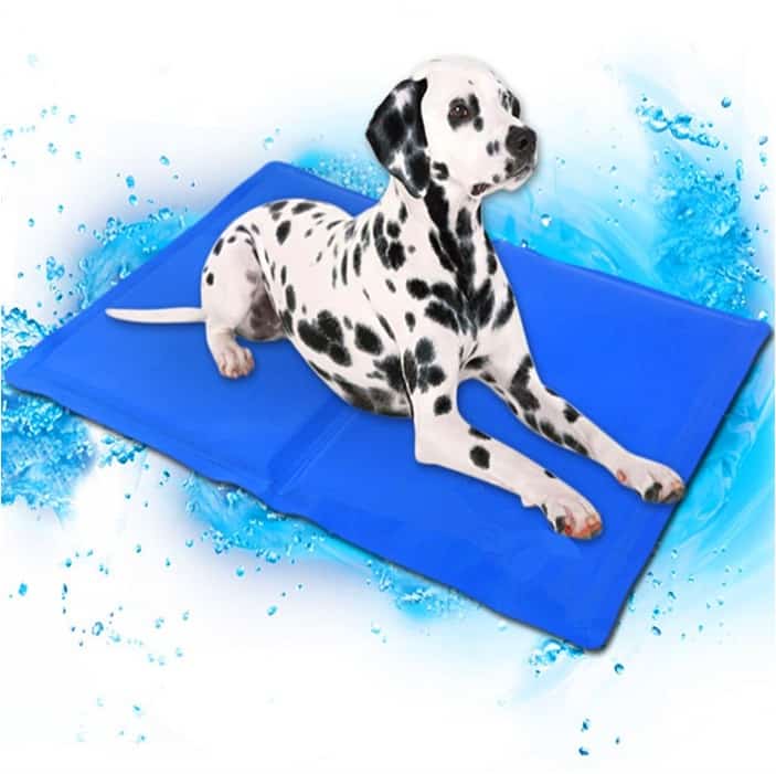 the image contains a dalmatian lying on the cool mat