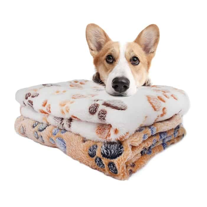 the image contains a dog lying on a pile of blankets