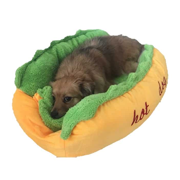 the image contains a dog lying on the hot dog bed