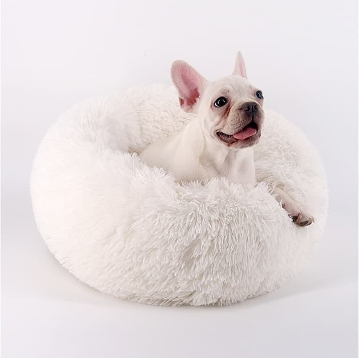 the image contains a white puppy lying on the plush