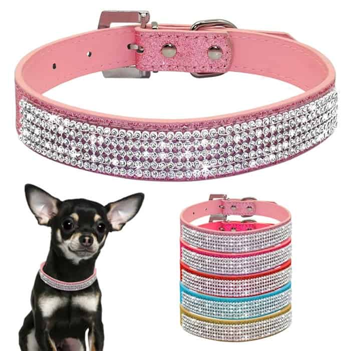 6 Promising Dog Collars to Give Your Puppy