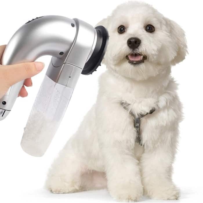 image contains a puppy and a sample of the product