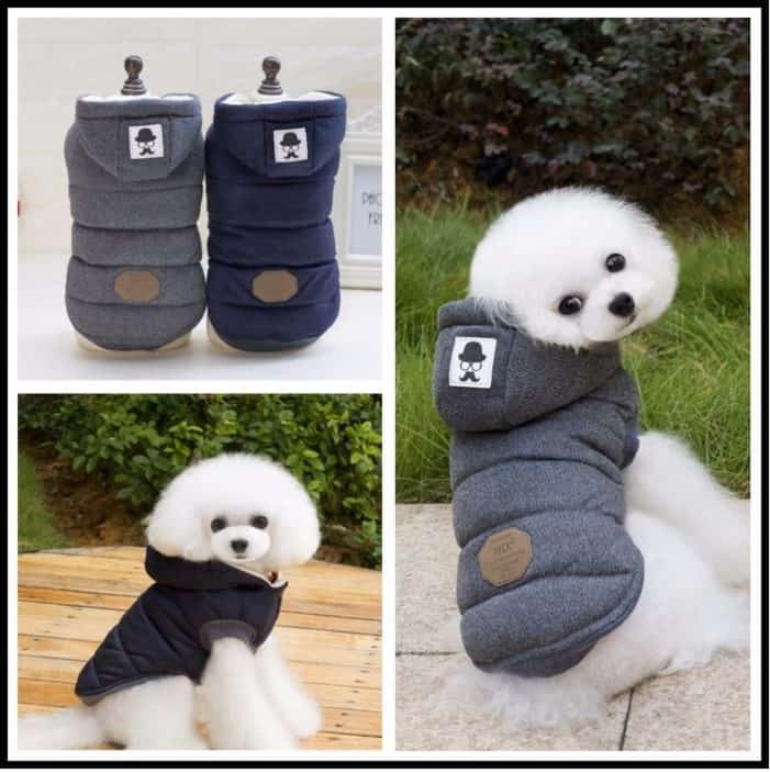 the image contains the product and a sample of a dog wearing it
