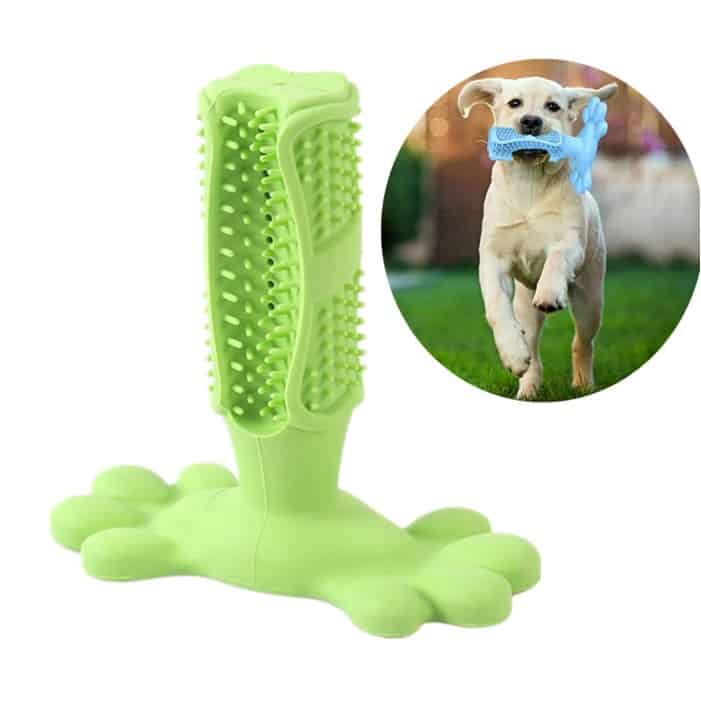 the image contains an enlarge photo of the product and a dog biting on it