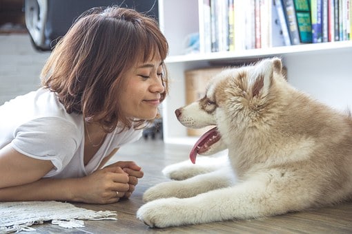 Names For A Girl Dog: Choose Carefully