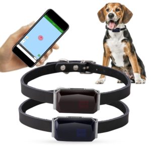 Built-In GPS Dog Tracking Device