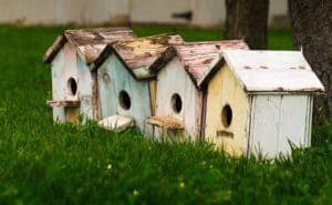 Dog House: How Much Does It Cost To Build