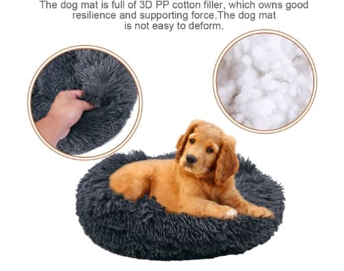 Top 50 Puppy Products For Furry Friend Fun