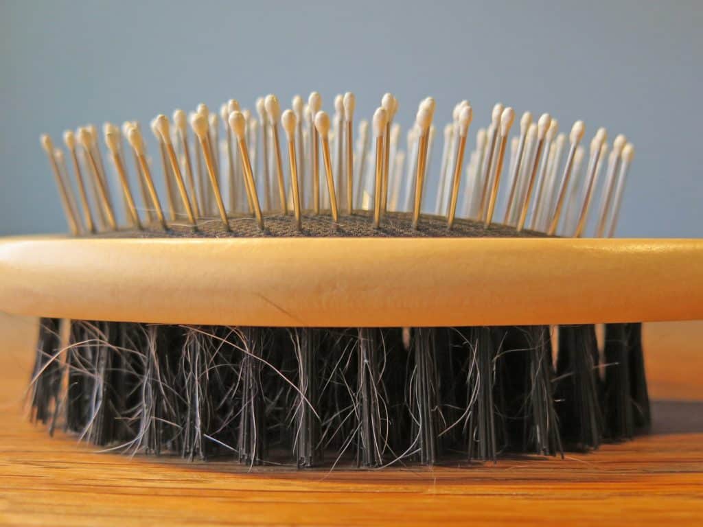 Best Professional Pet Hair Brushes 2020