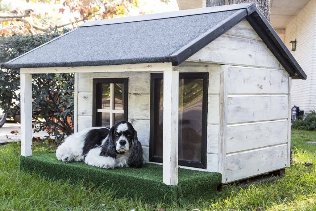 Tips for Finding the Best Dog House For Your Dog 
