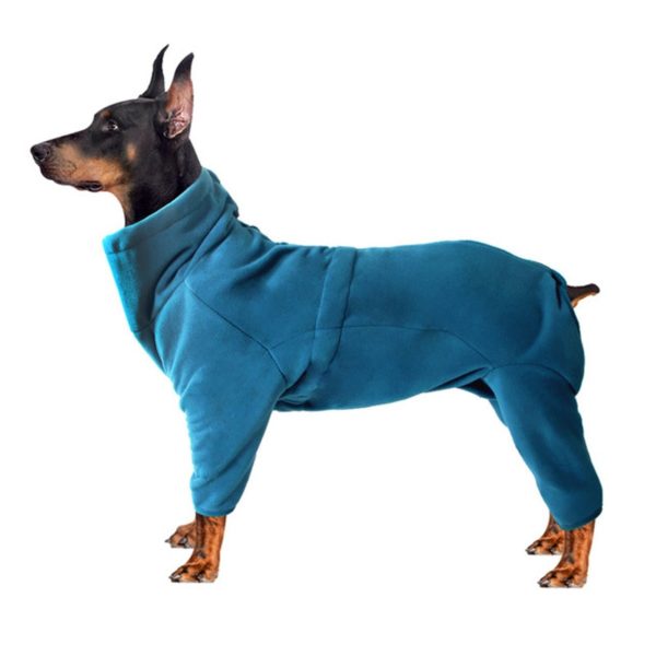 A dog wearing a costume