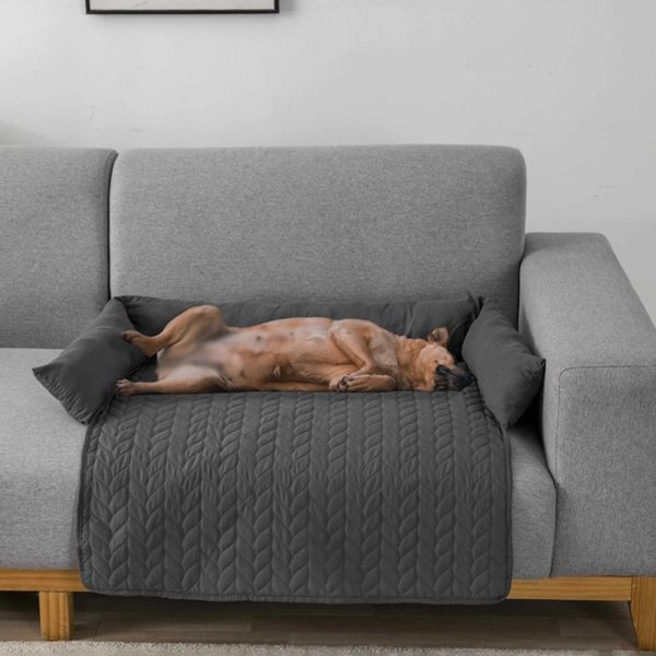 A dog lying on a sofa
