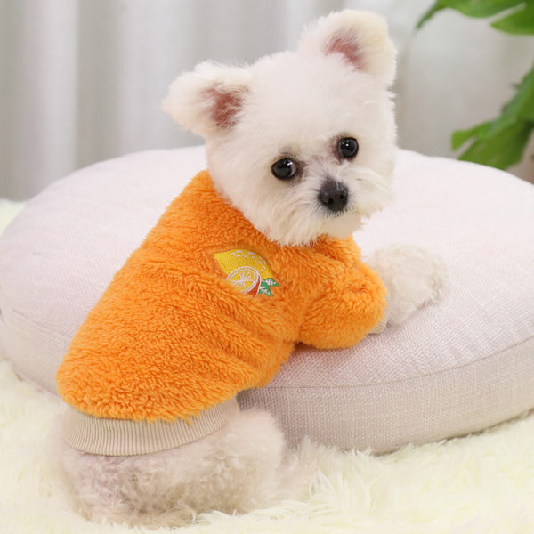 A small dog sitting on a bed